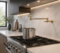 Solid Brass Wall Mount Pot Filler Faucet | Folding Swivel Arm Kitchen Faucet | Water Saving Faucet
